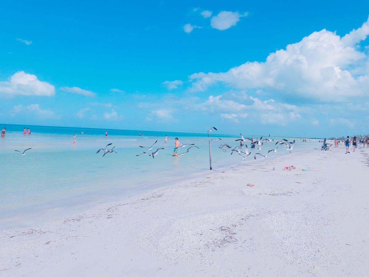 Hostel La Isla Holbox Екстериор снимка